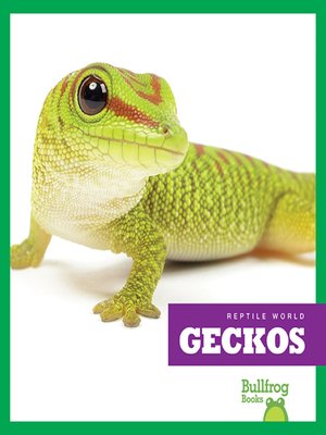 cover image of Geckos